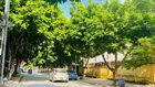 ĐẤT PHÚ THƯỢNG – TÂY HỒ, NGÕ THÔNG, MONING ĐỖ CỬA 38M2 X MT 3.3M. CHỈ 3.3 TỶ.
