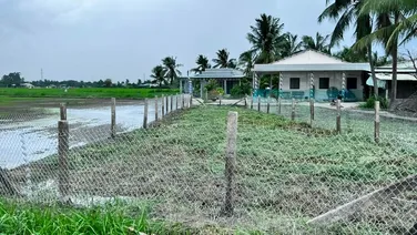 05-0222- 🌸🌸ĐẤT THỔ - TÂN TRỤ - XE HƠI TẬN NƠI - 257 mv - 720 TR- LH 0906.506.516