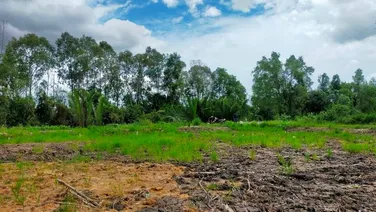 02-0922- 🌸🌸 THỔ CƯ 100% - THỦ THỪA - 2 MẶT TIỀN - 10*25 - 850 TR