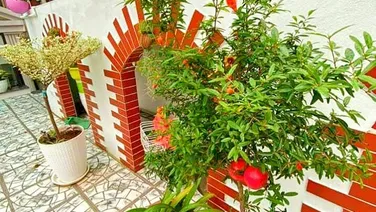 Bán Nhà phố Vọng Hai Bà Trưng 76.7m2*5,5t*5.7m mặt tiền 9.7tỷ đáng sống nhất đát thủ đô