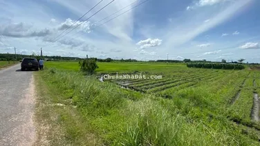 Tôi Cần bán sỉ 25 Lô Đất đường 786, Đất Sạch, Đường Nhựa, Xã Long Giang