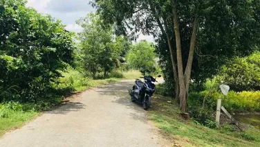 ĐẤT ĐƯờNG NHỰA 1000m2 MT NHÁNH TL 786 Giá Thương Lượng NGAY ỦY BAN BẾN CẦU