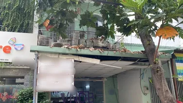 Bán Nhà cũ Đường Lê Đức Thọ, Phường 07, Quận Gò vấp, Hồ chí Minh