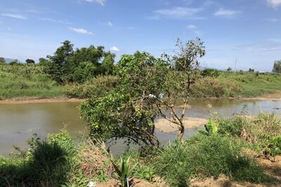Bán 2 sào có 80m mặt tiền sông Phan, Tân Thuận