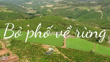 Bán Đất diện Tích Lớn 3hecta , Dành Cho Anh Chị Thích Bỏ Phố Về Rừng