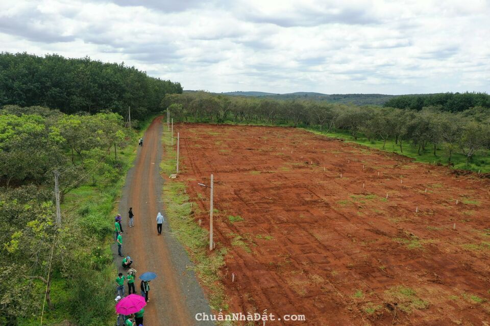 500tr 1 lô có thổ cư 100m2. Diện tích tổng 250m2. SHR chính chủ. Đường ô tô vào tận nơi