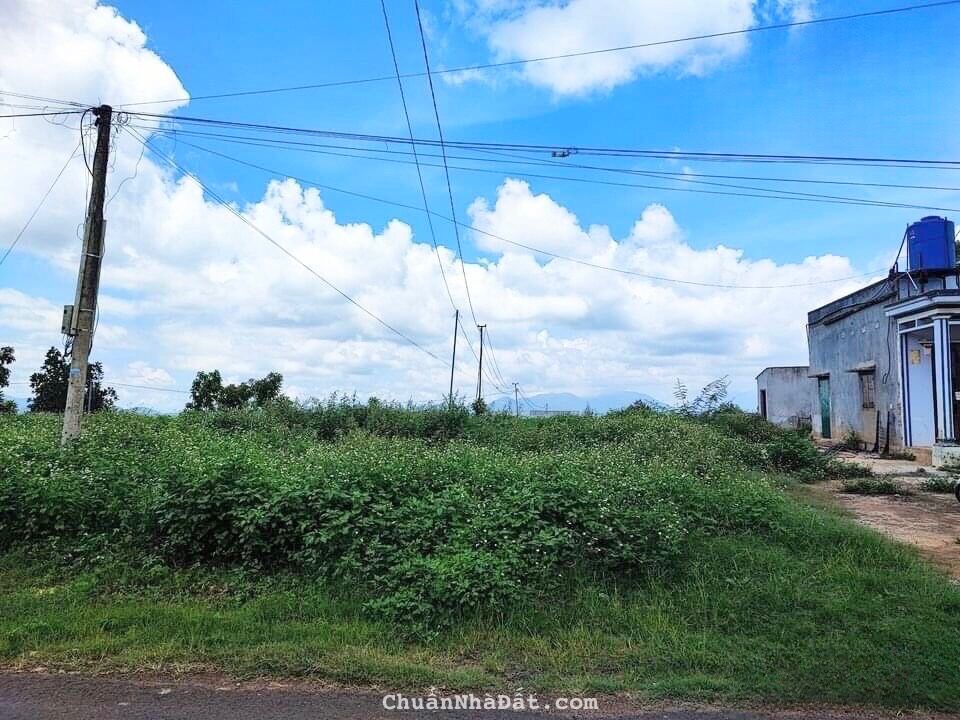 BÁN ĐẤT TẠI THÀNH PHỐ BẢO LỘC 