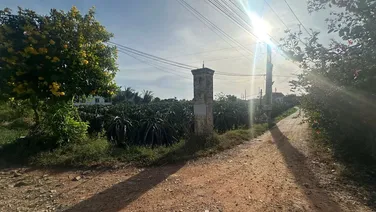 Đất Ngợp gần biển thổ cư đường nhựa xã Tân Tiến Thị xã Lagi