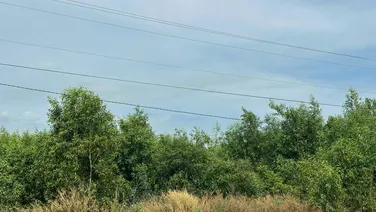 Kèo Ngợp ven biển đường Hùng Vương Tân Bình Thị xã Lagi