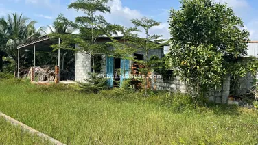 Đất Ngợp gần biển thổ cư xã Tân Bình Thị xã Lagi chỉ 550 triệu