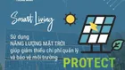 Sự Thật Đằng sau Căn Hộ Chuẩn Hàn Đầu Tiên Tại Trung Tâm Hạ Long Giá Hấp Dẫn chỉ từ 250tr