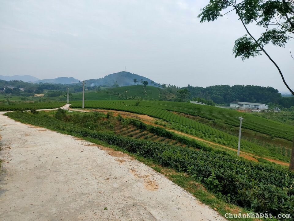   CẦN CHUYỂN NHƯỢNG NHÀ XƯỞNG VÀ TS TẠI VĂN LÂM – HƯNG YÊN