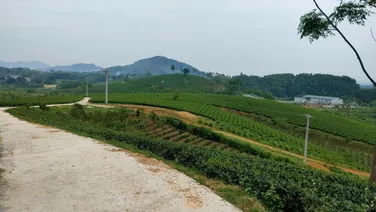 CẦN CHUYỂN NHƯỢNG NHÀ XƯỞNG VÀ TS TẠI VĂN LÂM – HƯNG YÊN