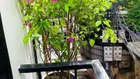 CẦN BÁN GẤP NHÀ RIÊNG TRONG NGÕ XUÂN THỦY, DT 37M2 x 5T, MT 5,8M, GIÁ CHỈ 5,95 TỶ.