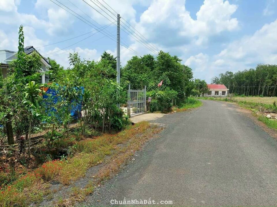 chủ lớn tuổi cần bán lô đất giá rẻ 1 xào 200