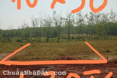 bán đất chơn thành hàng ngợp có 1-02