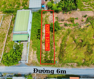 Chính chủ bán nhanh lô duy nhất DT 125m2 sát UBND huyện Cần Giuộc cho nhà đầu tư