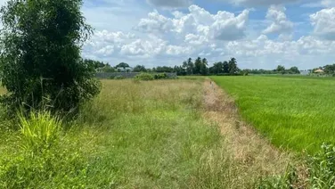 Chủ về quê nên cần bán gấp miếng đất lúa tại mặt tiền TT Cần Giuộc