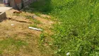 CHỦ CẦN TIỀN BÁN GẤP HƠN 250M2 THỔ, MẶT TIỀN QLO50 GIÁ RẺ CHỈ HƠN 10TR/M2 XÃ LONG AN CẦN GIUỘC