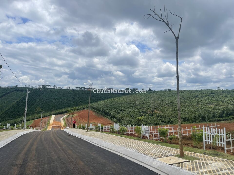 Cần tiền bán gấp lô đất thổ 97.4m2 Bảo Lâm Lâm Đồng chỉ 669tr LH 0909964432