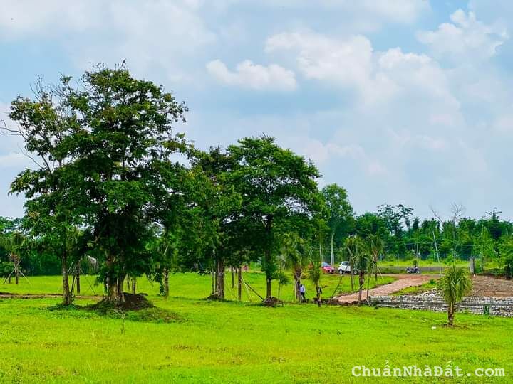 BÁN ĐẤT VƯỜN SINH THÁI VIEW HỒ NGAY LÂM SAN, CẨM MỸ, ĐỒNG NAI