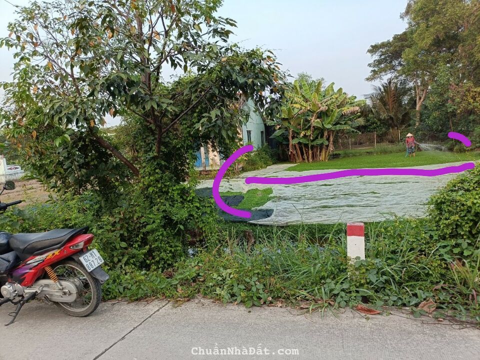 Kẹt tiền bán lỗ 240m2 thổ mt xe hơi Phước Lâm giá cực rẻ khi mua 670tr sở hữu ngay