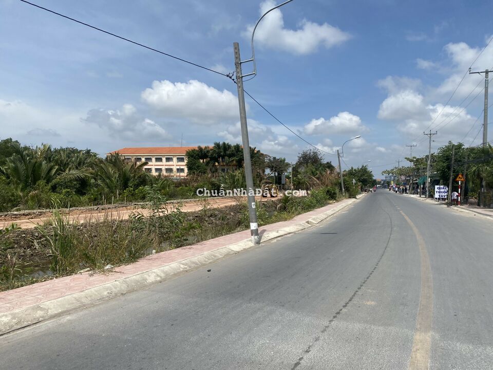 Chủ cần bán gấp 2400m2 lúa Tân Chánh giá rẻ 550 mua ngay kẻo lỡ