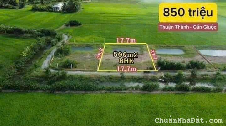 Chủ kẹt hạ giá bán gấp 500m2 vườn Cần giuộc mt kênh xe hơi giá rẻ chỉ 800tr sở hữu ngay