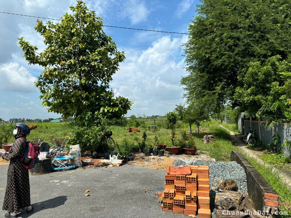 Đất nền kdc Tân Lân 5 HIỆP kẹt tiền bán lỗ giá rẻ 690tr 