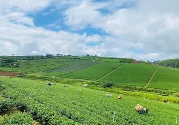 Vợ chồng e có miếng đất cần bán có 3 view siêu đẹp ở TP Bảo Lộc, có thổ cư, sổ sẵn, mặt tiền nhựa