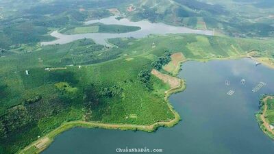 Vợ chồng em cần bán lô đất sát hồ ở Bảo Lộc, giá 850tr/500m2 sổ sẵn view suối, đồi thông cực đẹp