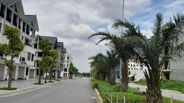 Cần bán lô đất DV Lai Xá, Kim Chung, (TL9) 114 m2, mặt tiền 8,69m, vị trí đẹp, LH: 0901 513 811