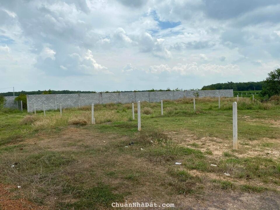 Bán đất Suối Đá sát trung tâm thị trấn Dương Minh Châu giá chỉ 350tr/150m2