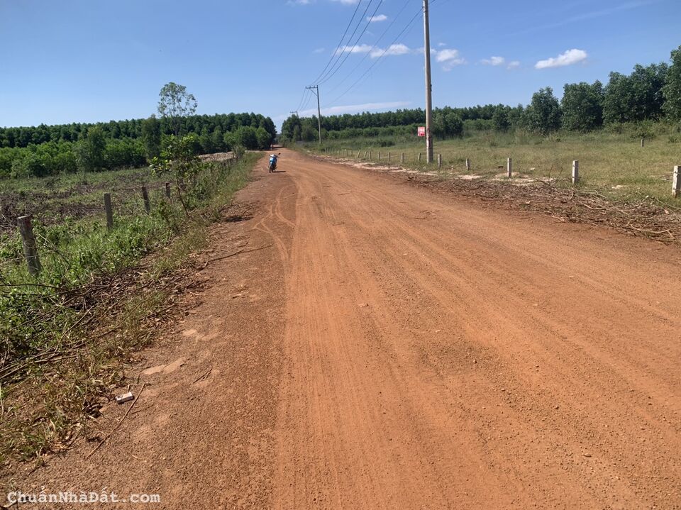 🛑Bán Gấp 22x77 Đường Phạm Thế Hiển, LaGi, Bình Thuận Giá Rẻ Đầu Tư