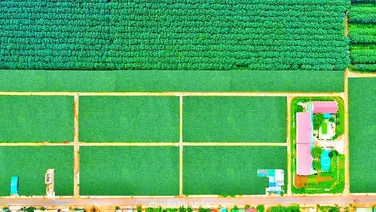 CẦN BÁN NHANH VÀI LÔ ĐẤT TRONG KHU BÀN CỜ ĐỐI DIỆN CHỢ PHÚ LỘC, KRONG NĂNG.