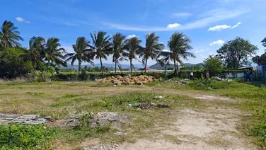 💥 Cơ hội đầu tư đất biển Bình Thuận - Chỉ từ 750 triệu