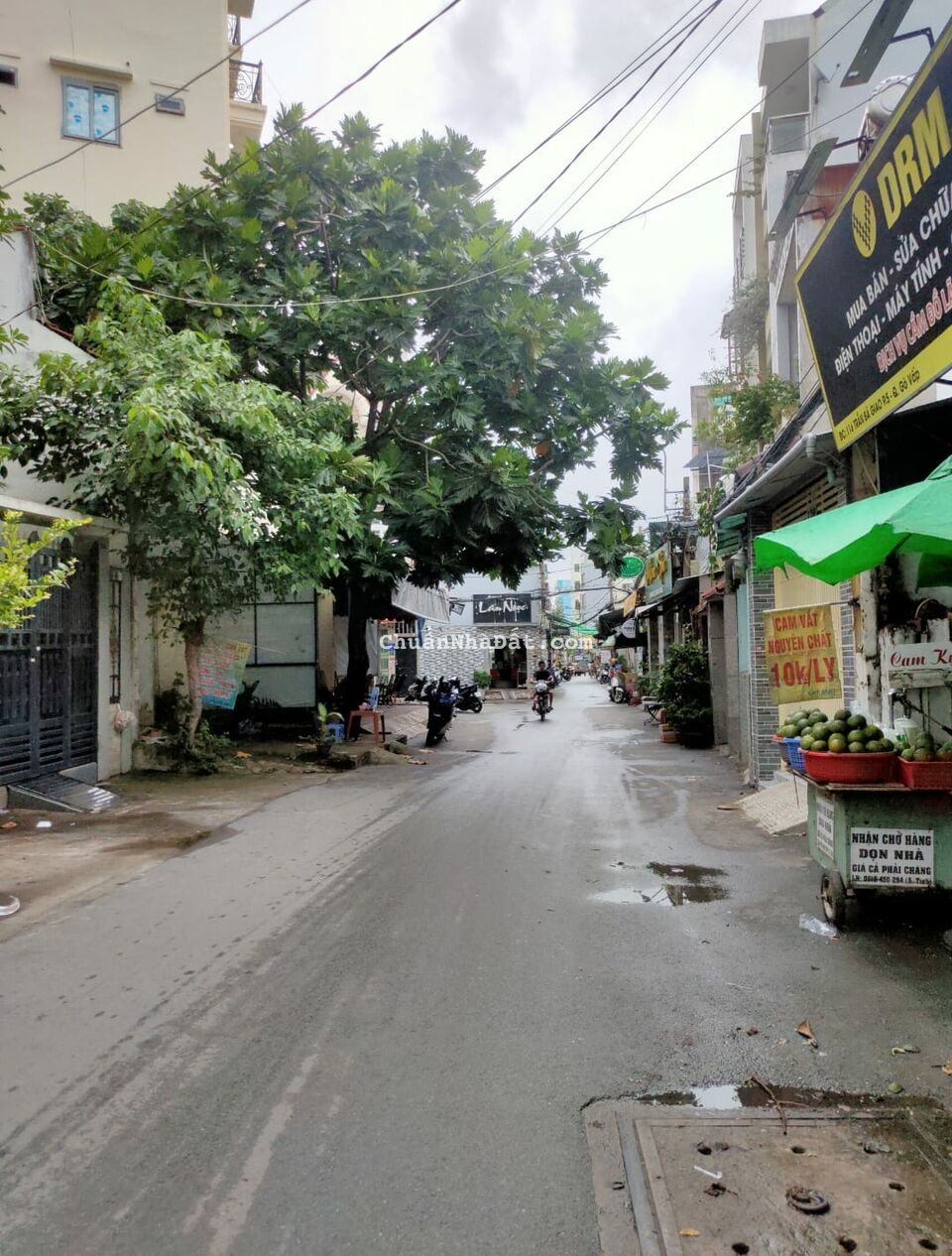 Mặt Tiền Kinh Doanh Đường Trần Bá Giao, P5, 63M2 ( 4M x 15,8M ), Cấp 4, Chỉ 6,1 Tỷ