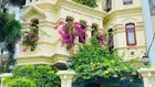 Bán Biệt thự VIP Nguyễn Trọng Tuyển,P10.Phú Nhuận.