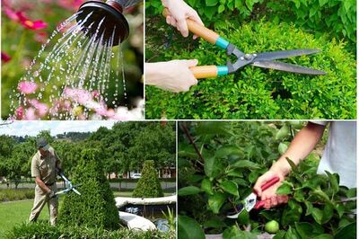 Mở bán 24 lô đất vườn tại xã Khánh Hiệp giá 249 triệu liên hệ 0969.025.664 Minh Tuấn