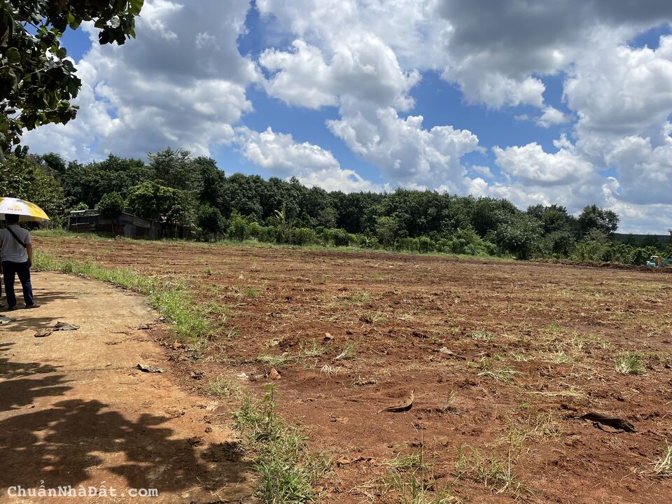 7 lô thổ cư đất KCN Ledana Lộc Ninh Bình Phước