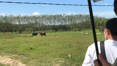 ĐẤT NỀN THANH HÓA ĐẦU TƯ RẺ NHẤT THỊ TRƯỜNG