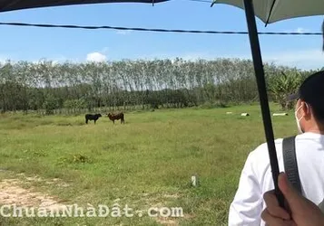 ĐẤT NỀN THANH HÓA ĐẦU TƯ RẺ NHẤT THỊ TRƯỜNG