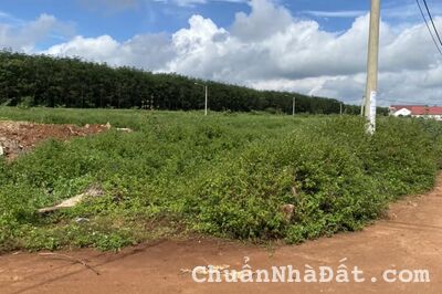 đất nền sổ đỏ giá tốt tại trung tâm huyện Krông Năng tỉnh Đắk Lắk