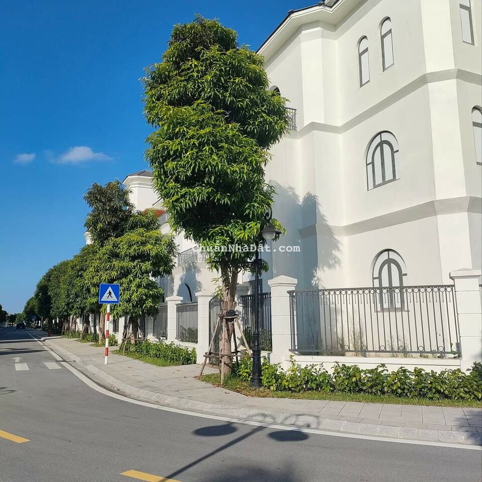 Bân gấp biệt thự Vinhomes Ocean Park Gia Lâm 328m giá chỉ 80 tỷ