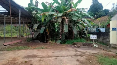 Cần bán ĐẤT mặt phố giá 1.1 tỷ DT 210m, 10m mặt phố QL2 Hà Nội Hà Giang, 0968181902