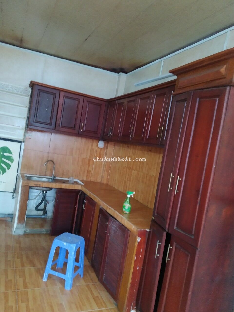 CHO THUÊ NHÀ 1 LẦU 4,8X12M GIÁ 7TR HẺM 3 GÁC PHẠM VĂN BẠCH