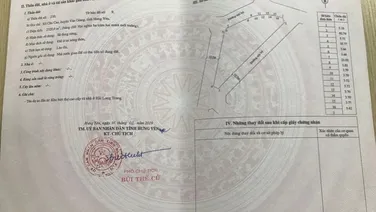 Căn hộ chung cư cao cấp Trust city