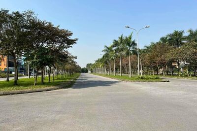 Bán đất lô góc hỗn hợp mặt đường Nguyễn Đình Bể, TP Hải Dương, 1565m2, cực đẹp