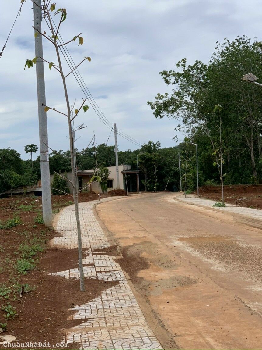 Mặt tiền bê tông 5x50x100tc cách DT753b 200m giá 450tr