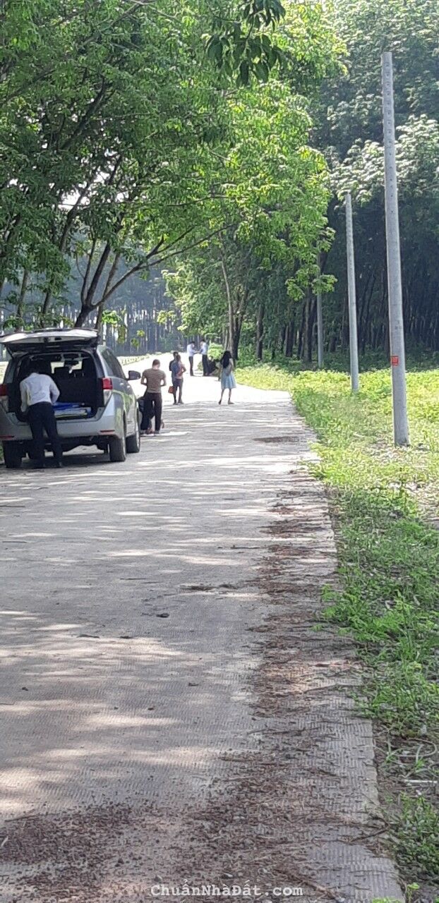 Giá chốt hạ tận rễ, chủ cần ra lô cặp liền kề ngay khu công nghiệp Tân Quan